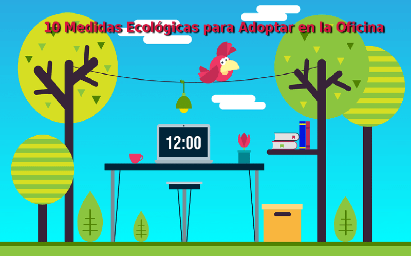 10 Medidas Ecológicas para Adoptar en la Oficina
