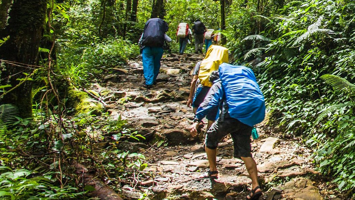 La impresión rentable no debería sacrificar la calidad